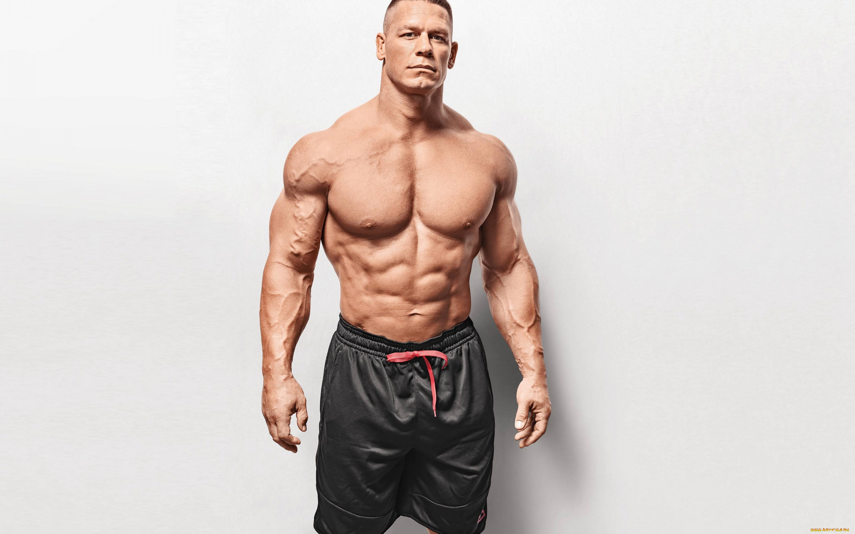 , body building, , , wwe, , , , , , 